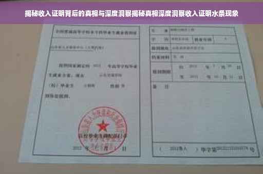 揭秘收入证明背后的真相与深度洞察揭秘真相深度洞察收入证明水条现象
