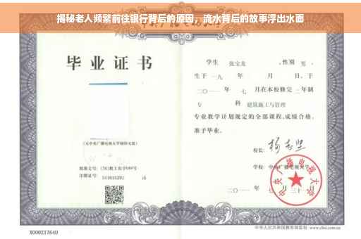 揭秘老人频繁前往银行背后的原因，流水背后的故事浮出水面