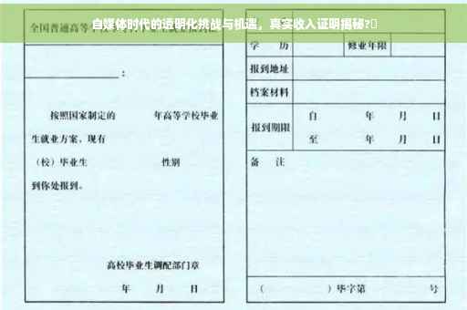 自媒体时代的透明化挑战与机遇，真实收入证明揭秘?✨