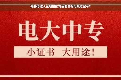 揭秘假收入证明借款背后的真相与风险警示?