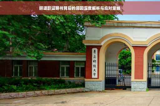 辞退职证明书背后的原因深度解析与应对策略