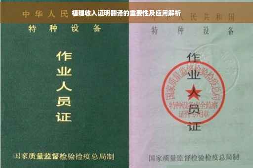 福建收入证明翻译的重要性及应用解析