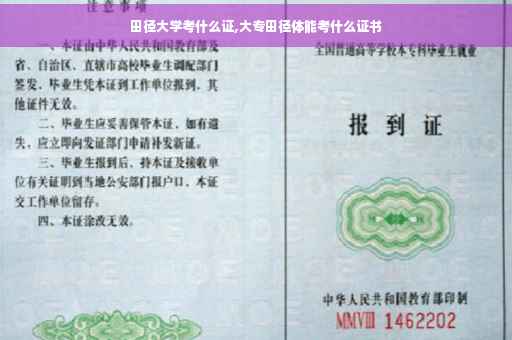 田径大学考什么证,大专田径体能考什么证书