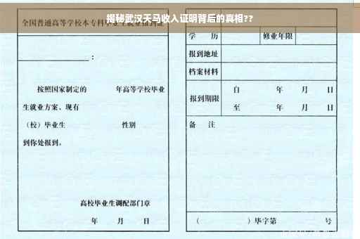 揭秘武汉天马收入证明背后的真相??