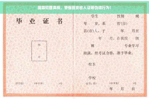 揭露犯罪真相，警惕薪资收入证明伪造行为！