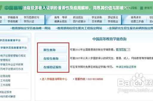 法庭经济收入证明的重要性及应用解析，洞悉其价值与影响?⚡️