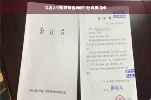假收入证明签证背后的犯罪真相揭秘
