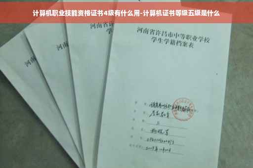 计算机职业技能资格证书4级有什么用-计算机证书等级五级是什么