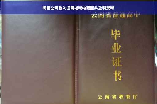 淘宝公司收入证明揭秘电商巨头盈利奥秘