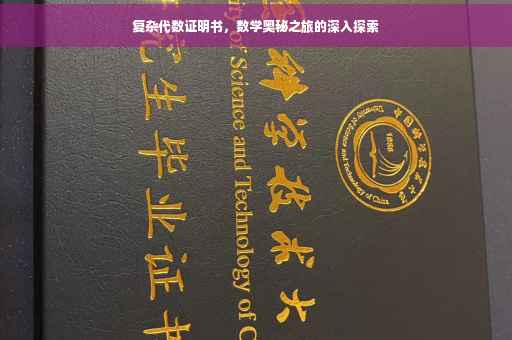 复杂代数证明书，数学奥秘之旅的深入探索