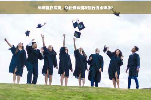 电脑操作指南，轻松查看浦发银行流水账单?