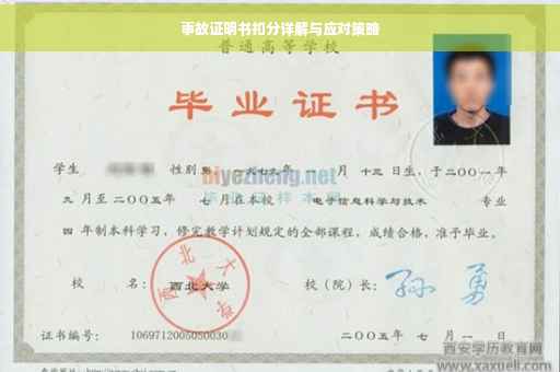 事故证明书扣分详解与应对策略