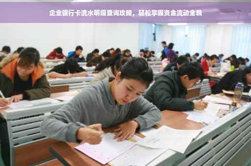 企业银行卡流水明细查询攻略，轻松掌握资金流动全貌