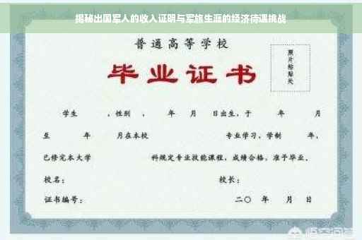 揭秘出国军人的收入证明与军旅生涯的经济待遇挑战