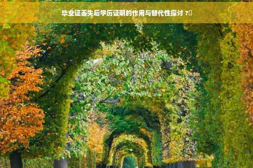 毕业证丢失后学历证明的作用与替代性探讨 ?✨