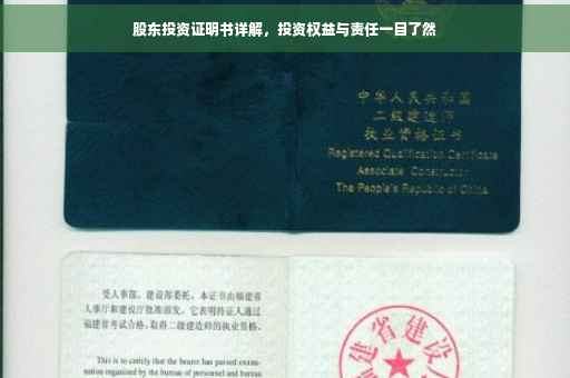 股东投资证明书详解，投资权益与责任一目了然