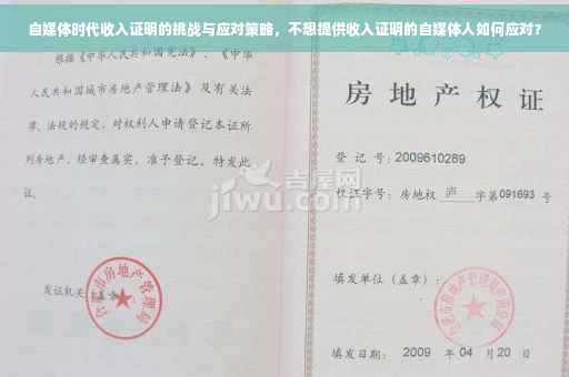 自媒体时代收入证明的挑战与应对策略，不想提供收入证明的自媒体人如何应对？