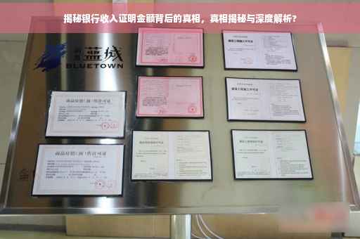 揭秘银行收入证明金额背后的真相，真相揭秘与深度解析?