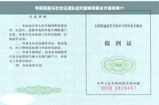 学籍档案与毕业证遗失应对策略及解决方案指南??