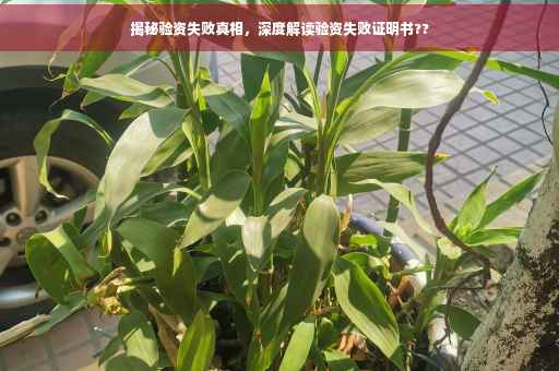 揭秘验资失败真相，深度解读验资失败证明书??