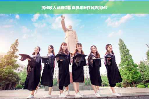揭秘收入证明造假真相与潜在风险揭秘?