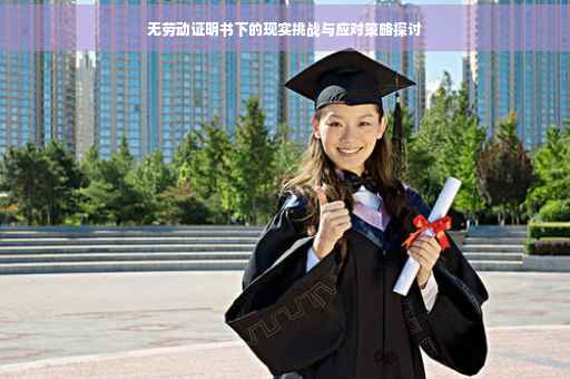 无劳动证明书下的现实挑战与应对策略探讨