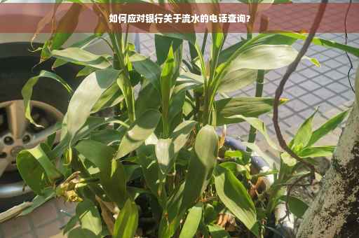 如何应对银行关于流水的电话查询？
