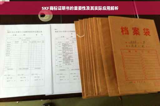 SKF商标证明书的重要性及其实际应用解析
