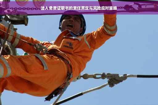 法人免责证明书的责任界定与风险应对策略