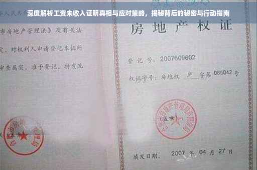 深度解析工资未收入证明真相与应对策略，揭秘背后的秘密与行动指南