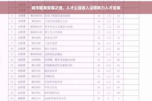 城市精英安居之选，人才公寓收入证明助力人才安居