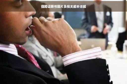 保释证明书图片及相关解析详解