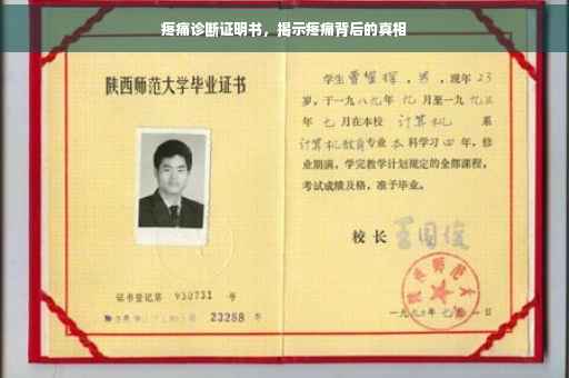 疼痛诊断证明书，揭示疼痛背后的真相