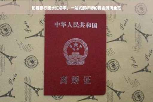招商银行流水汇总表，一站式解析您的资金流向全览