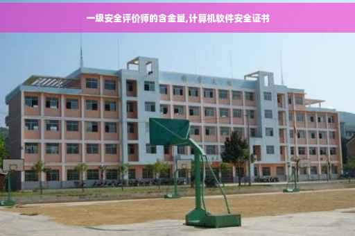 一级安全评价师的含金量,计算机软件安全证书