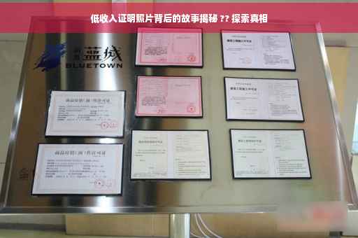 低收入证明照片背后的故事揭秘 ?? 探索真相