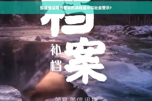 假病情证明书背后的真相揭示与社会警示?