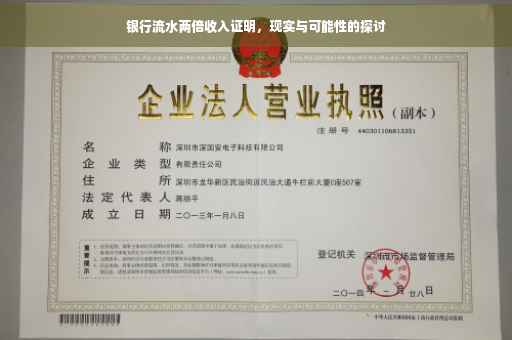银行流水两倍收入证明，现实与可能性的探讨