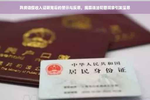 购房造假收入证明背后的警示与反思，揭露违法犯罪现象引发深思