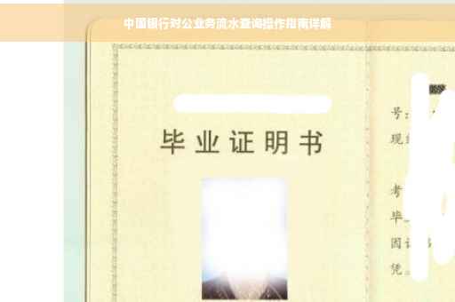 中国银行对公业务流水查询操作指南详解