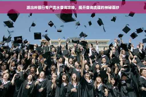 派出所银行专户流水查询攻略，揭开查询流程的神秘面纱