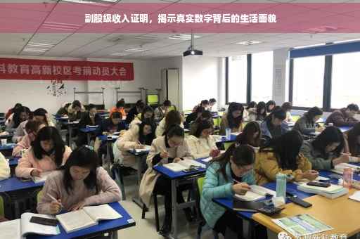 副股级收入证明，揭示真实数字背后的生活面貌