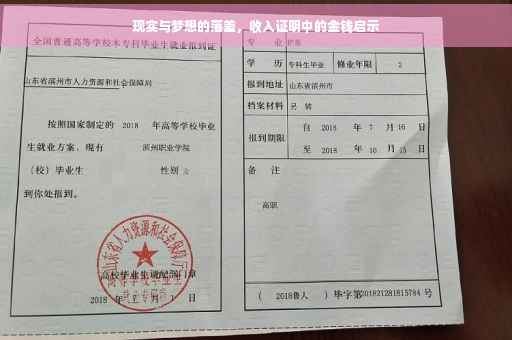 现实与梦想的落差，收入证明中的金钱启示