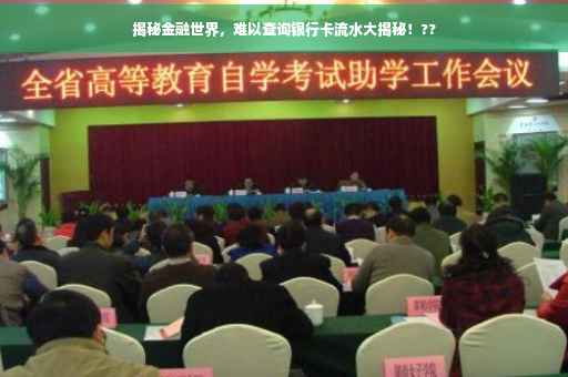 揭秘金融世界，难以查询银行卡流水大揭秘！??