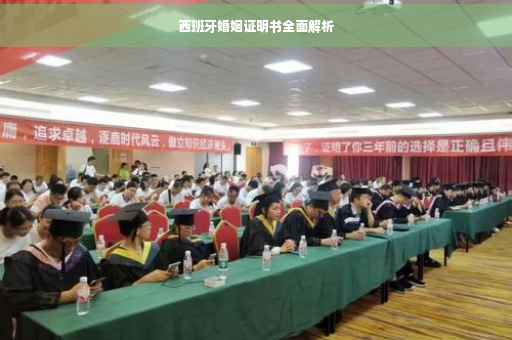 西班牙婚姻证明书全面解析