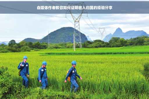 自媒体作者教你如何证明收入归属的经验分享
