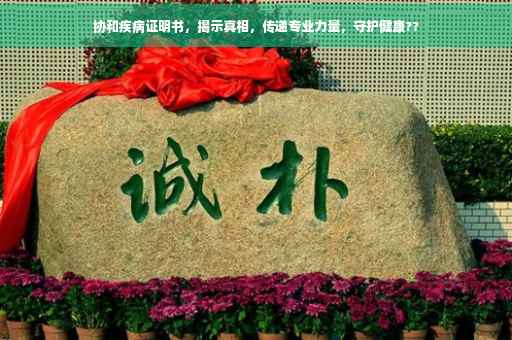 协和疾病证明书，揭示真相，传递专业力量，守护健康??