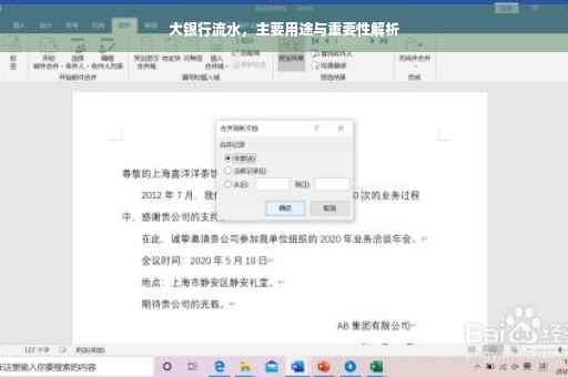 大银行流水，主要用途与重要性解析