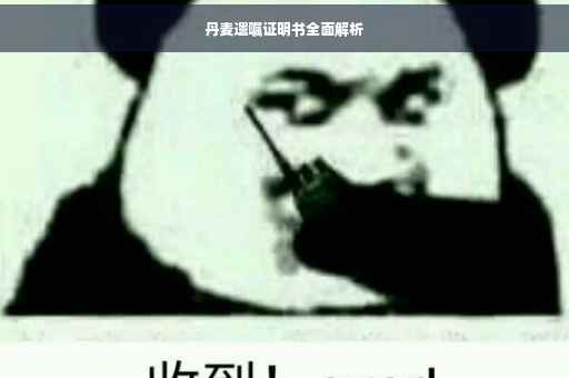 丹麦遗嘱证明书全面解析