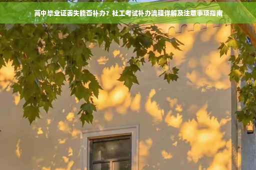 高中毕业证丢失能否补办？社工考试补办流程详解及注意事项指南